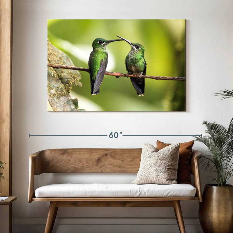 Hummingbirds Of Ecuador, H 32 po x l 48 po