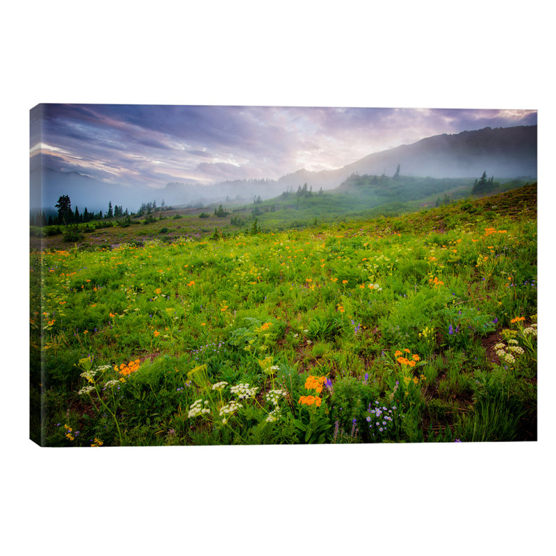 Colorado Flowers by Dan Ballard - Print on Canvas, Wrapped Canvas, 20.32 cm H x 30.48 cm W