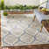 Kitt Paisley Hand Woven Indoor / Outdoor Area Rug