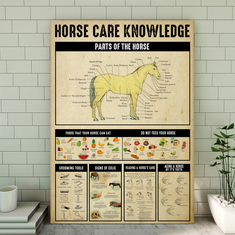 «Horse Care», toile tendue sur toile - Illustration animalière, décor jaune et noir