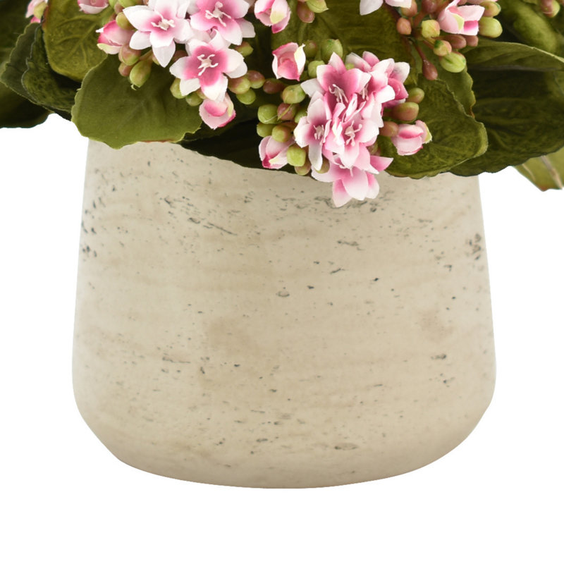 Kalanchoe Arrangement in Fiberstone Pot, Pink/White