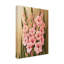 Art sur toile gladioli bolognaise, Momart-104292544