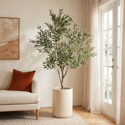 91 " Olive Tree with Base Included