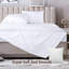 Mehalek 100% Cotton Flat Sheet-1709250390
