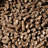Bear Mountain BBQ All-Natural Hardwood Hickory Smoker Pellets-96601286-96601289