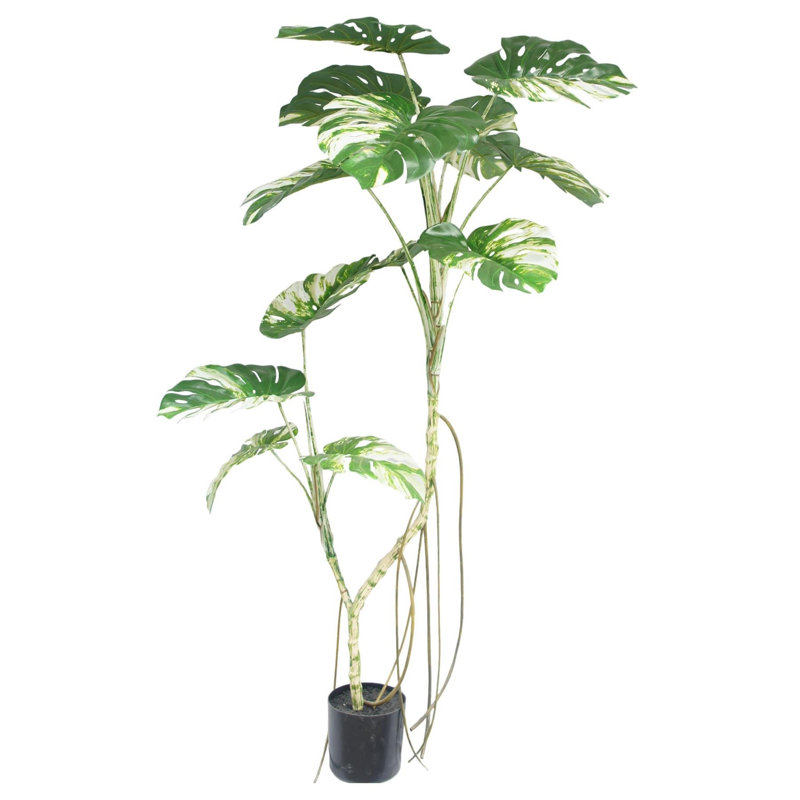 Anoushka Faux Palm Tree in Pot Liner, 180cm H x 80cm W x 80cm D