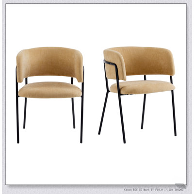 Ensemble de 2 chaises à accoudoirs rembourrées Modern Modern, élégantes et confortables pour les salles à manger contemporaines