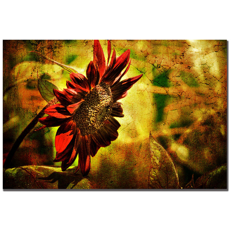 « tournesol » par lois bryan, impression sur toile, H 16 po x l 24 po x P 2 po
