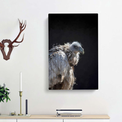 Vulture Bird - Wrapped Canvas