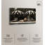 «Luxe of the Jungle King», photographie rétro sur toile par Art Remedy, reproduction sur toile-111215809-111215813