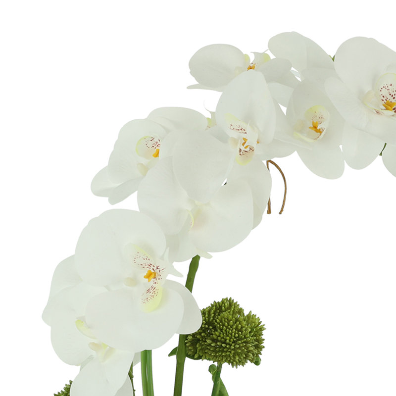 Orchids and Sedum Arranged in Ceramic Vase