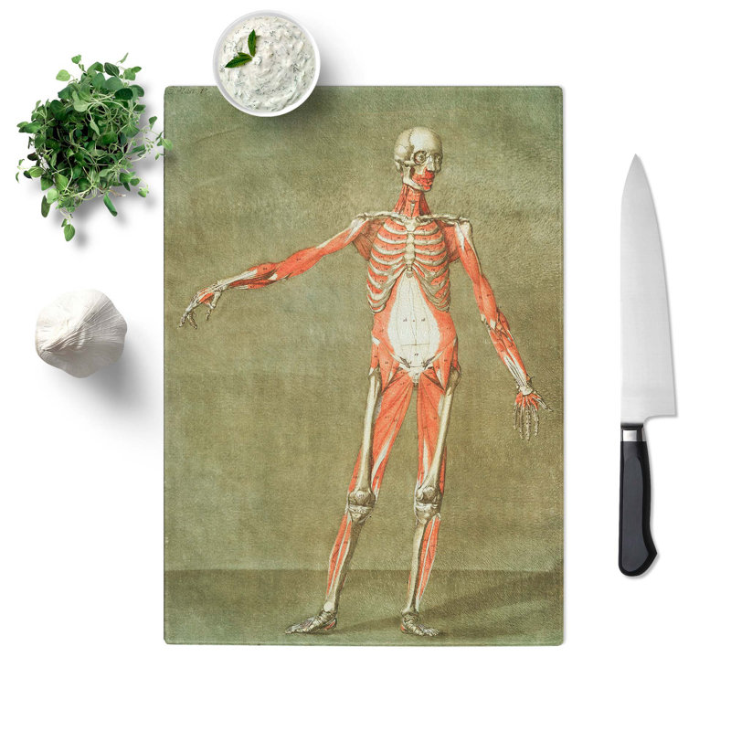Tempered Glass Anatomical Illustration of a Male No. 3 Chopping Board, 20 cm W x 28.5 cm L