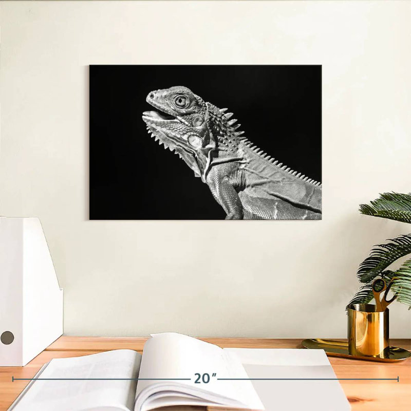 Iguane monochrome, H 8 po x l 12 po