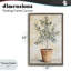 Plante d'intérieur dans un cadre flottant en terre cuite, design par Petal Prints Design-545262689-545262691