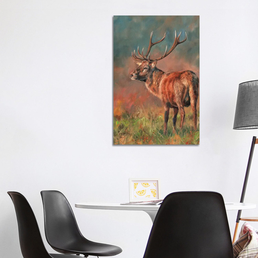 Red Deer Stag Evening Light von David Stribbling - Gallery-Wrapped Canvas Giclée on Canvas