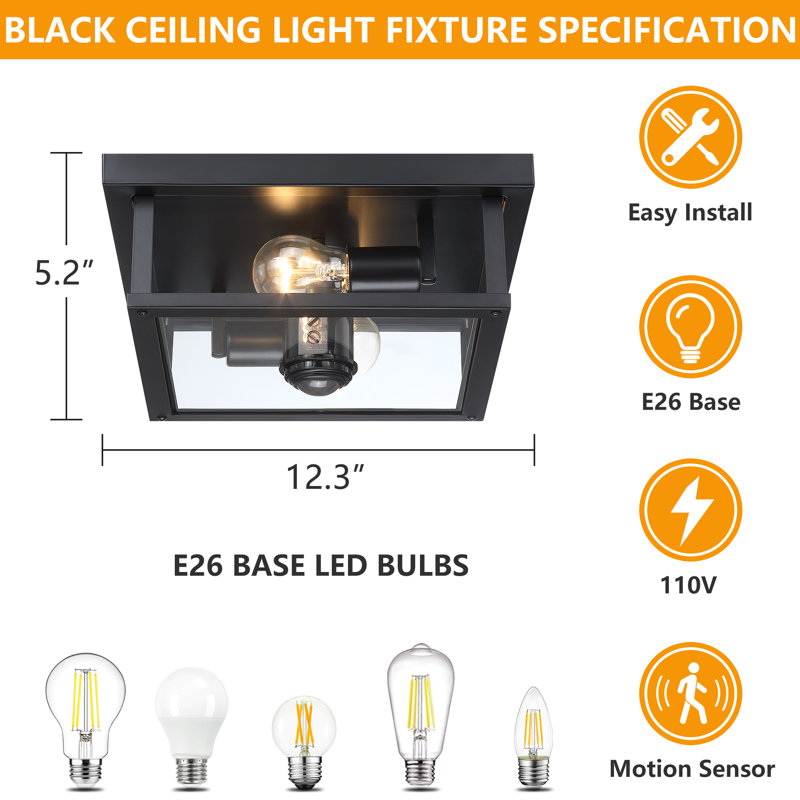 Plafonnier encastré 12 po 2 lumières, Noir