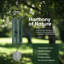 Carillons extérieurs 6 tubes Nature's Melody-88195084-88195086