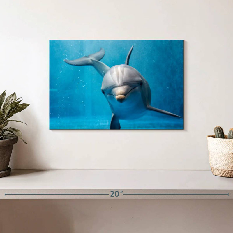 Brampt Friendly Dolphin, 8" H x 12" W