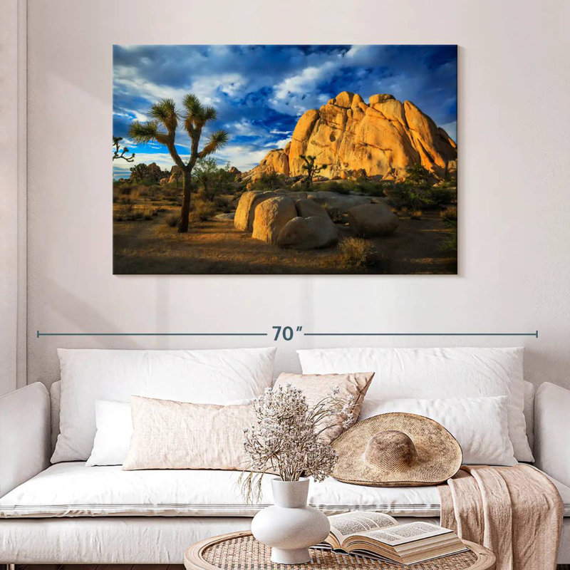 Nicci Joshua Tree Park Old Woman Rock, H 32 po x l 48 po