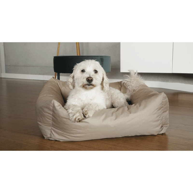 Theodis Codura Pet Bed, Cappucino, 17cm H x 100cm W x 82cm D, Extra Large