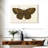 Antique Butterfly II-107923788