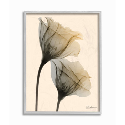 «Neutral Light Flower» par Albert Koetsier - reproduction de photo