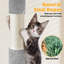 Arbre à chat Sievers-1396133343