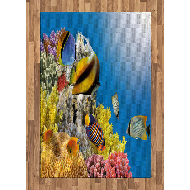 Tapis décoratif à longues fibres en polyester Ocean, Rectangle— 4 pi x 5 pi 8 po