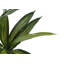 Plante en faux ciment 51,25 po Mcginnis
