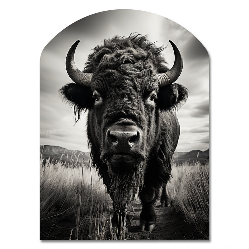 Mariyanka - Asymmetric Bison, H 34 po x l 25 po