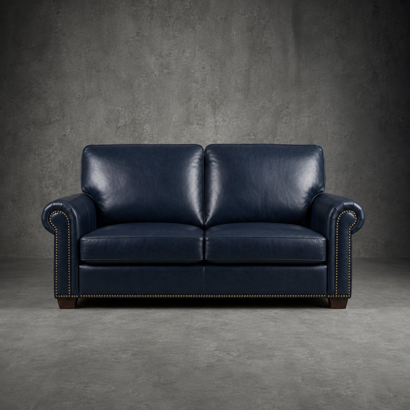 Igon 62.8" Traditional Down-Filled Genuine Leather Power Reclining Loveseat Sofa, Navy