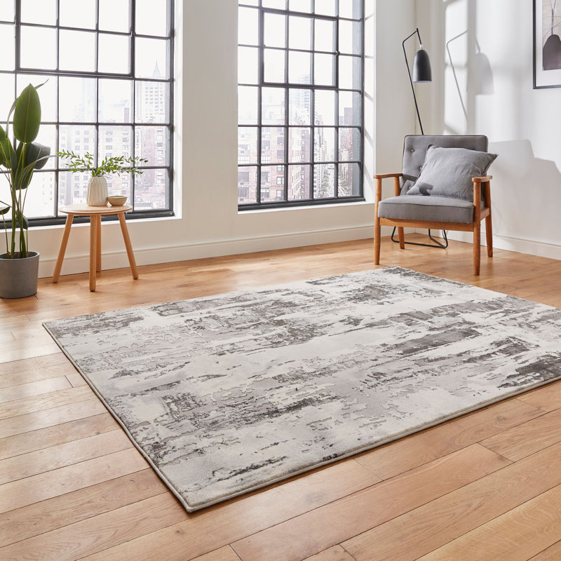 Apollo area rug Machine Woven Rectangle Grey, Rectangle 160 x 220cm