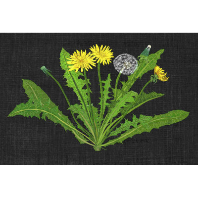 «Wild Dandelion II» par Melissa Wang - reproduction d'art sur toile tendue