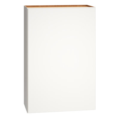 Armoire murale 1 porte avec 2 tablettes réglables Dwelling Rosemont l 24 po x H 36 po x P 12 po