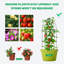Treillis Obélisque de jardin Soroh-1368738159