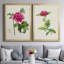 «Pretty Pink Botanicals I», ensemble de 2 reproductions d'art sur toile encadrées-107163657-107163667
