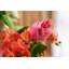Isle of Magnifica Orchid Floral Arrangements in Vase