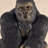 Sitting Gorilla Garden Statue