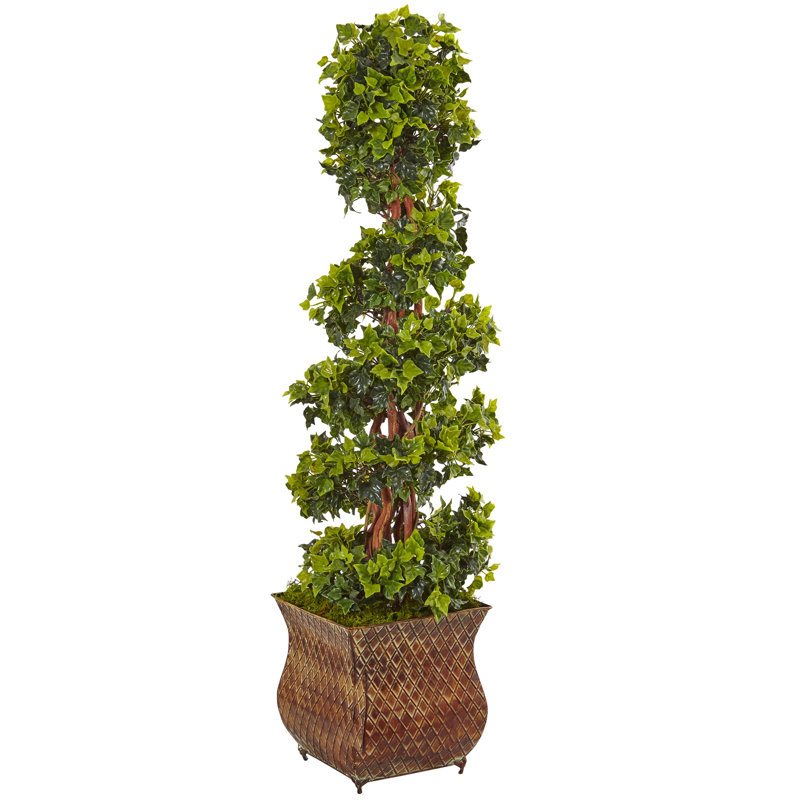 English Ivy Spiral Tree in Planter