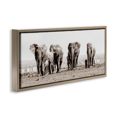 Elephant Family on Savanna