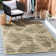 Shani Performance Floral Indoor/Outdoor Area Rug