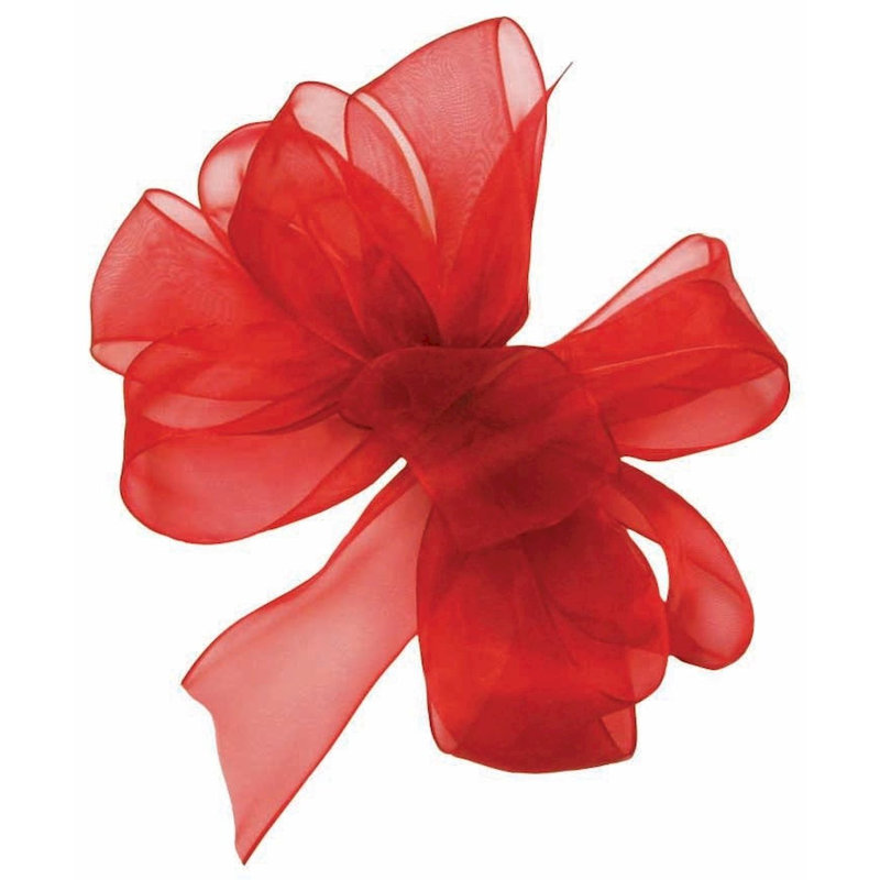 Ruban tropical tropical, H 1,5 po x l 4 po x P 4 po, Rouge