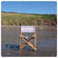 Cream Premium Director's Chair-240632338