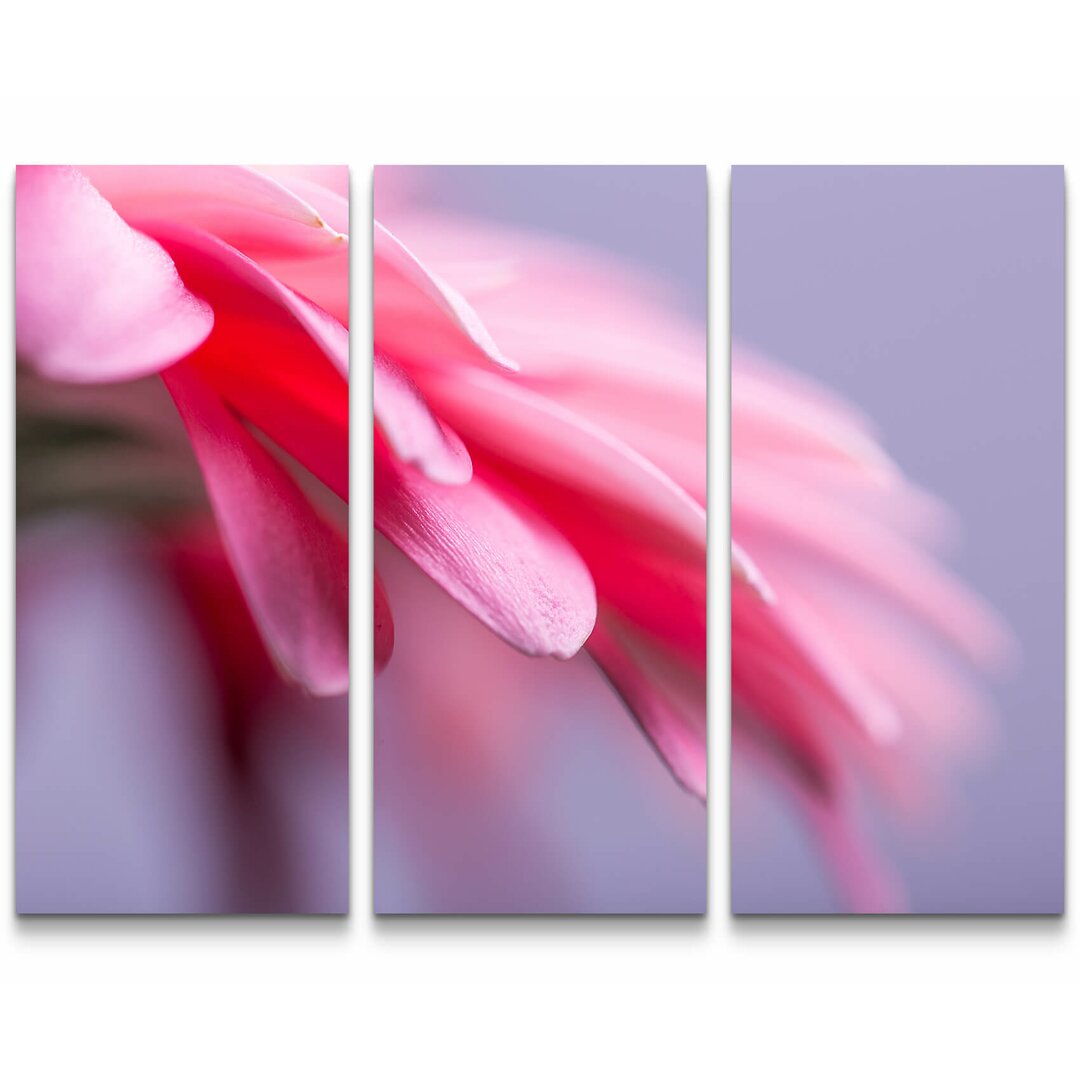 3-tlg. Leinwandbilder-Set Rosa Gerbera