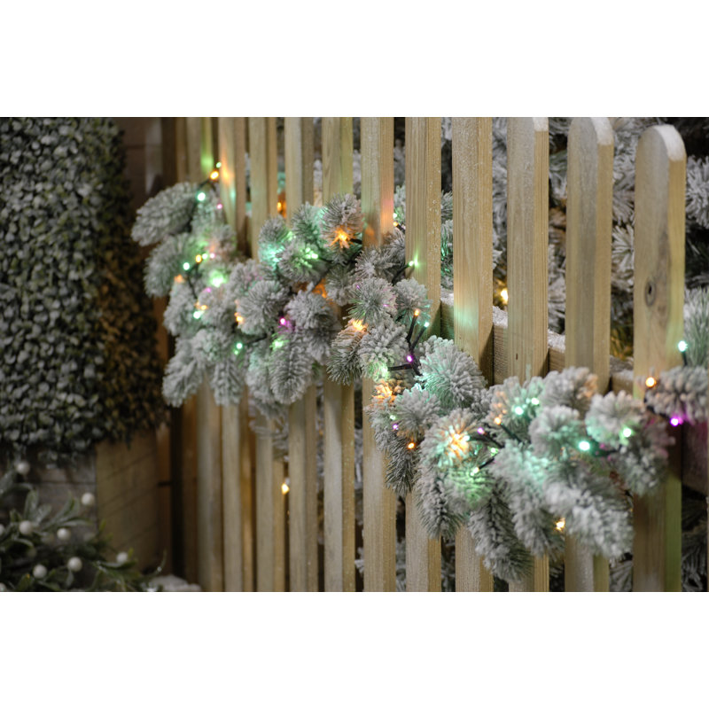 Aurora 5816.6cm LED Indoor / Outdoor String Lights, Pink/Green/Yellow