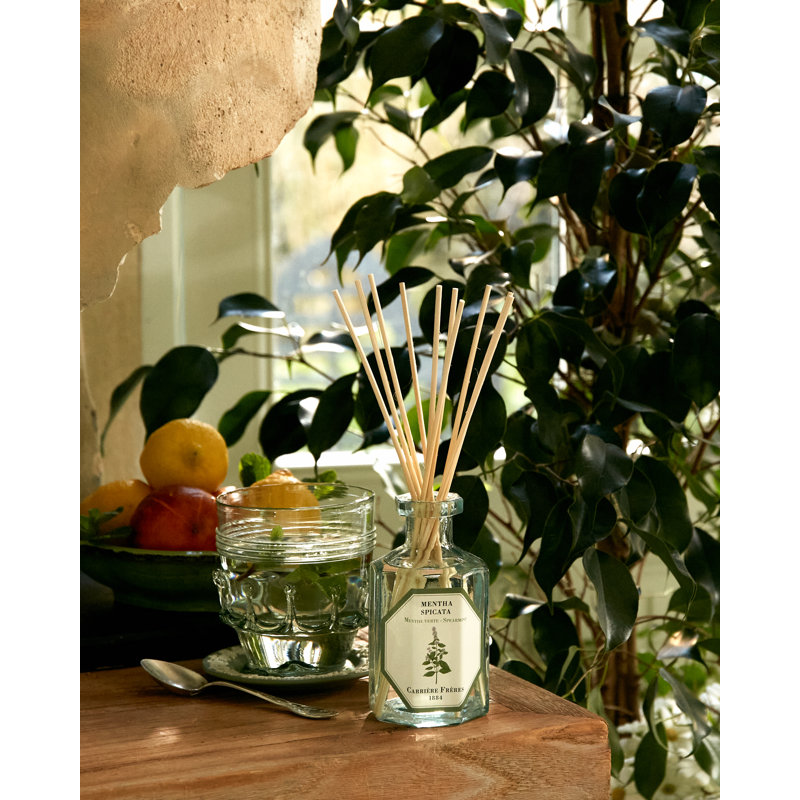 Rose Mint Diffuser, Spearmint