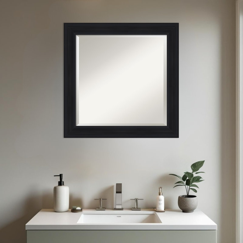 Miroir mural de salle de bain Abbey, 24,75 po x 20,75 po