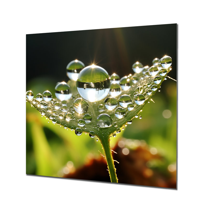 «Morning Sun Dew Drop Reflection - Leaves», reproduction d'art murale, Métal métal, H 30 po x l 30 po x P 1 po