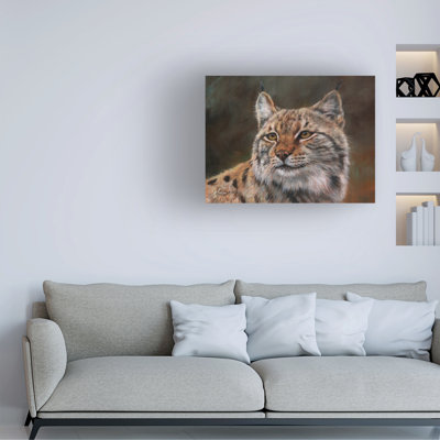 Art sur toile, David David