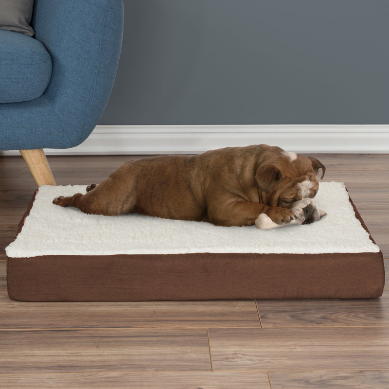 Medium Brown Orthopedic Memory Foam Pet Bed